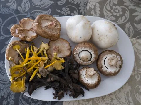 Mushrooms source Foto stock
