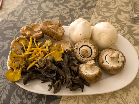 Mushrooms source Foto stock