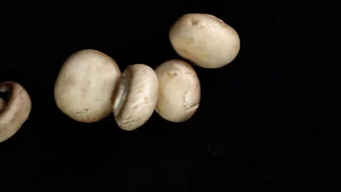 Mushrooms Spinning in Slow Motion Stock Footage 314894164