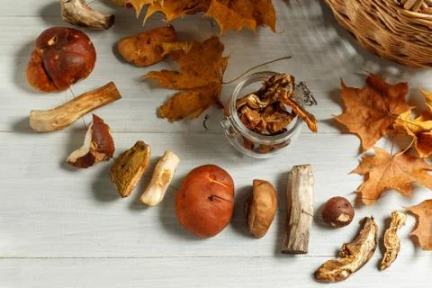 Mushrooms on a string prepared for drying and a glass jar with dried mushrooms Stock Photos