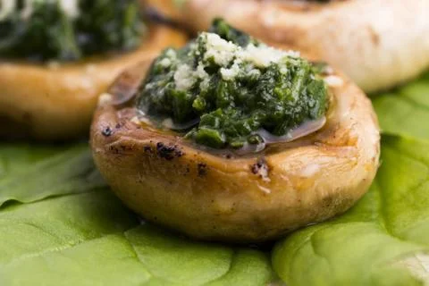 Mushrooms stuffed with spinach Stock Photos