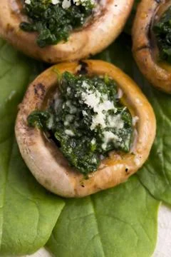 Mushrooms stuffed with spinach Stock Photos