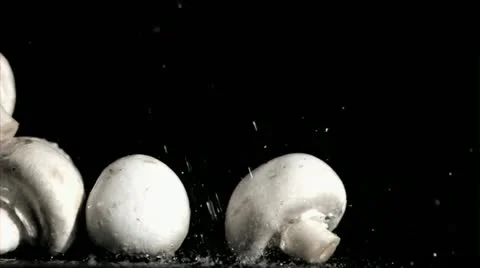 Mushrooms in super slow motion receiving water Stock Footage