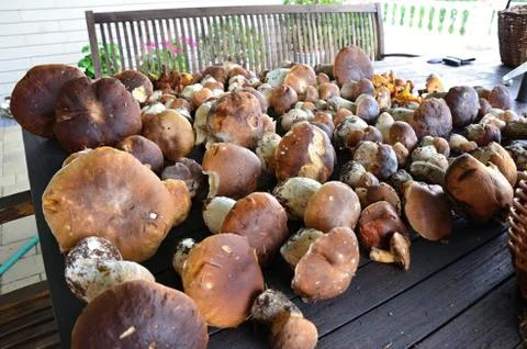 Mushrooms on the table Foto stock