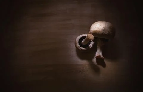 Mushrooms on Table Stock-Fotos