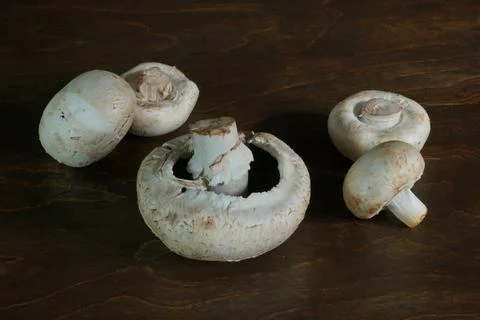 Mushrooms on the table Stock Photos
