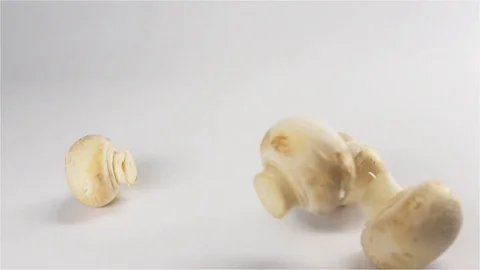 Mushrooms throw out from the camera Stock Footage 75970053