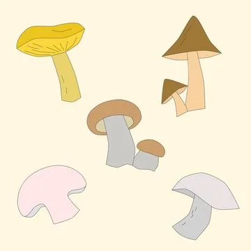 Mushrooms vector illustration Stock Illustration