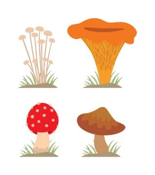 Mushrooms vector illustration set different types isolated on white background Stock Illustration