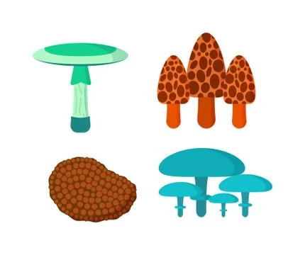 Mushrooms vector illustration set different types isolated on white background 스톡 일러스트
