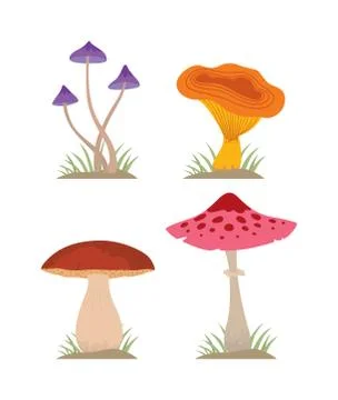 Mushrooms vector illustration set different types isolated on white background Stock Illustration