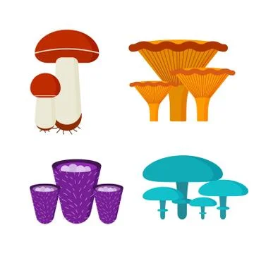 Mushrooms vector illustration set different types isolated on white background Stock Illustration