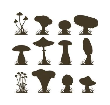 Mushrooms vector illustration set different types isolated on white background 스톡 일러스트