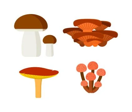 Mushrooms vector illustration set different types isolated on white background 스톡 일러스트