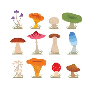 Mushrooms vector illustration set different types isolated on white background 스톡 일러스트