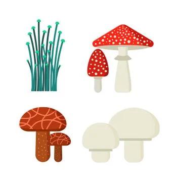 Mushrooms vector illustration set different types isolated on white background Stock Illustration