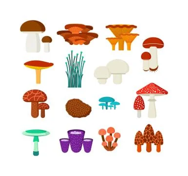 Mushrooms vector illustration set different types isolated on white background Stock Illustration