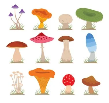 Mushrooms vector illustration set 스톡 일러스트
