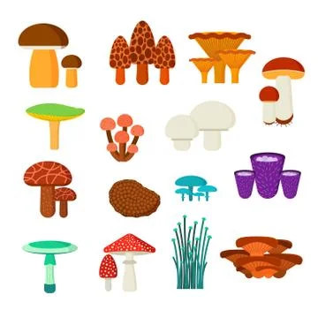 Mushrooms vector illustration set 스톡 일러스트