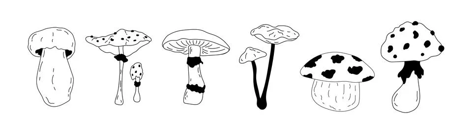 Mushrooms vector set Illustrazione stock