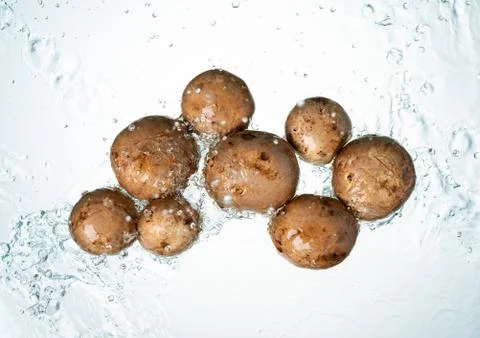 Mushrooms Water Splash Stock Photos