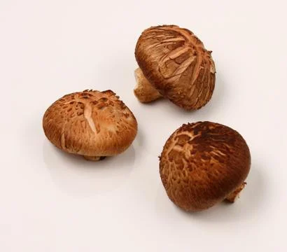Mushrooms on a white background Foto stock