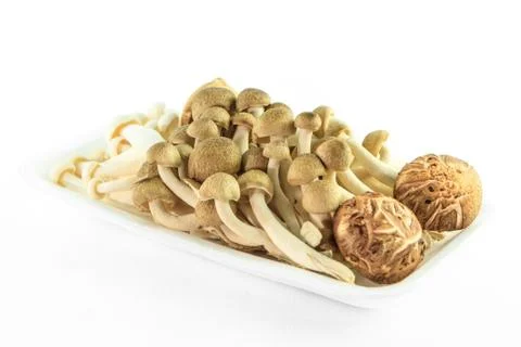 Mushrooom set isolate 스톡 사진