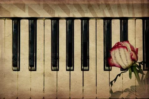 Music background with rose イラスト素材