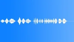 MUSIC, BUGLESound Effect