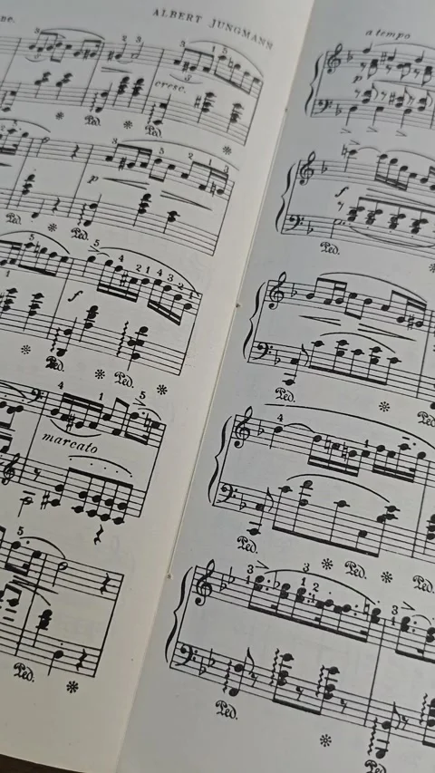 Music composition Stock Footage 324595482