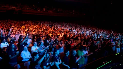 Music CROWD 3 Stock Footage 41511684