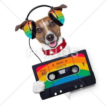 Music dog Stock Illustration