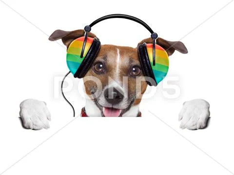 Music dog Stock Illustration
