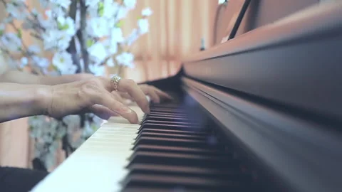 Music education and performance concept. Stock Footage 154334645
