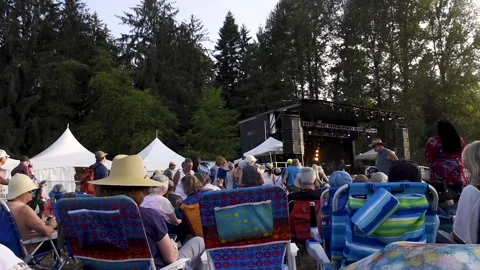 Music Fest Stock Footage 287038264