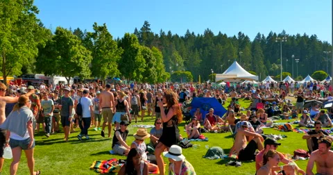 Music Festival Crowd Outdoors, Long Line Ups, Summer Open Air Music Festival Stock Footage