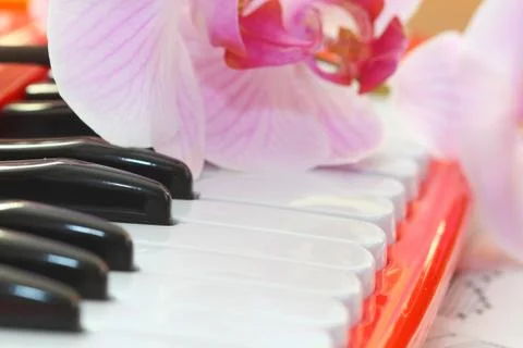 Music Stock Photos