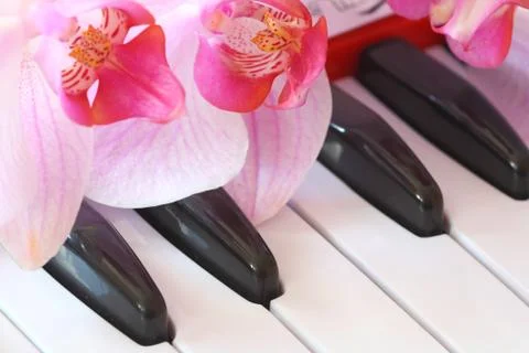 Music Stock Photos