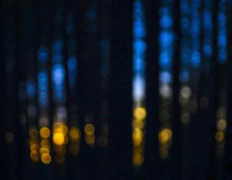 Music of spring sunset in the sunlight of pine forest. Foto stock