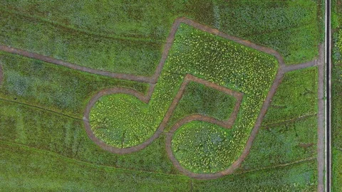 Music staff and note composit by flowers and grass on land for festival and Stock Footage 99824008