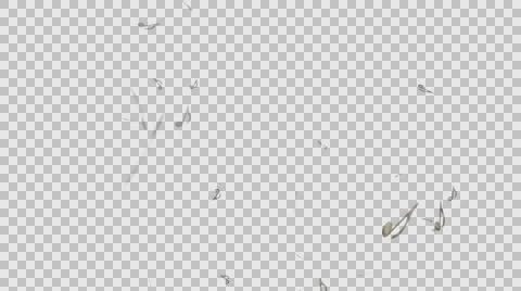 Music Symbols alfa Stock Footage 59763355