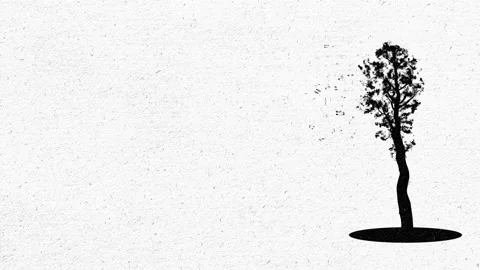 Music tree 01 Stock Footage 209816654