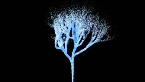 Music Tree 01 Stock Footage 285390085