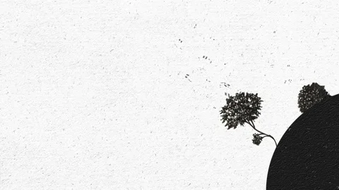 Music tree 02 Stock Footage 209816560