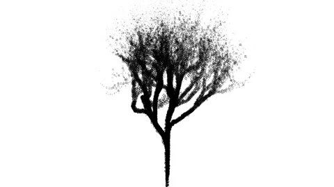 Music Tree 02 Stock Footage 285396732