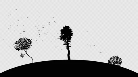 Music tree 06 Stock Footage 211387291