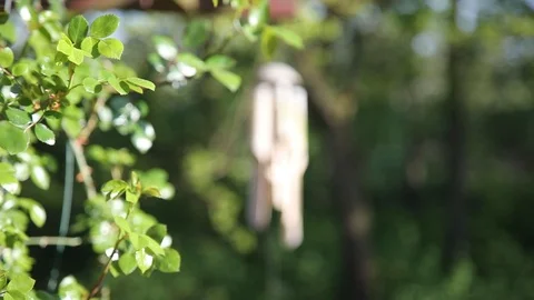 Music of wind from bamboo Stock Footage 119872674
