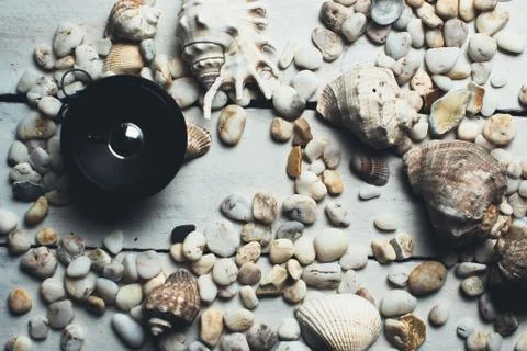 Musical dynamics and shells Stock Photos