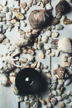 Musical dynamics and shells Stock Photos