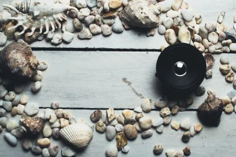 Musical dynamics and shells Stock Photos